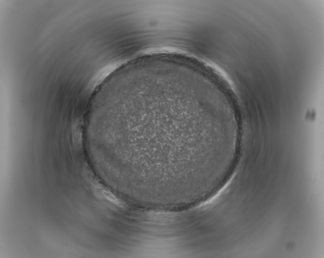 X0000091670921200709061039