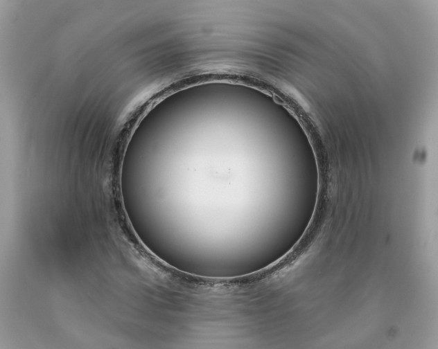X0000091670922200709061039