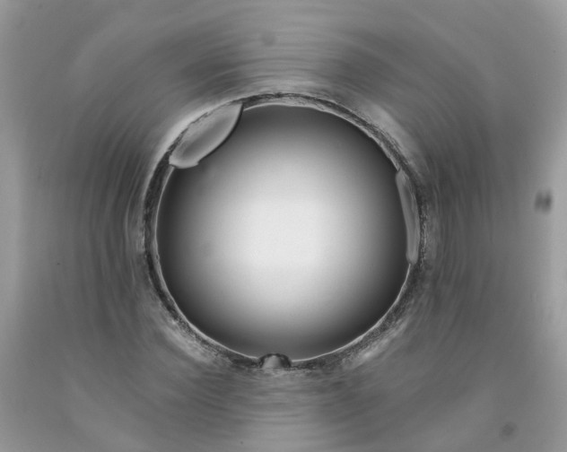 X0000091670924200709061039