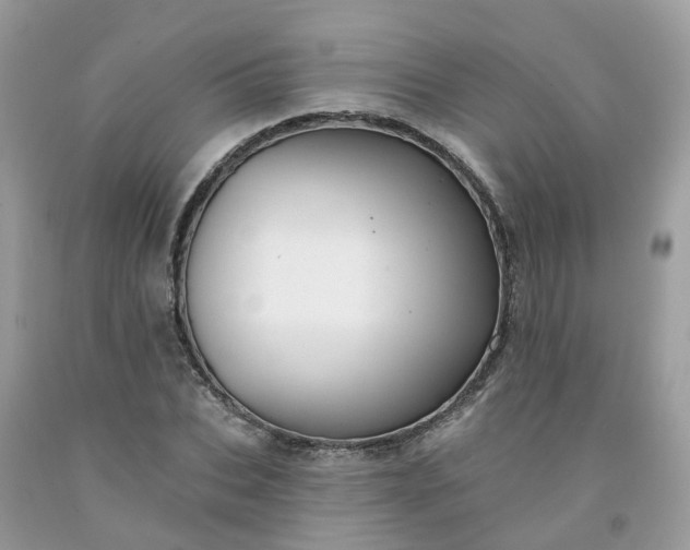 X0000091670927200709061040
