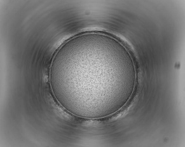 X0000091670929200709061040