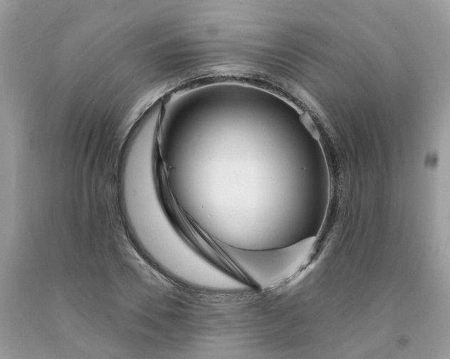 X0000091670930200709061040