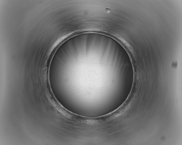 X0000091670933200709061040
