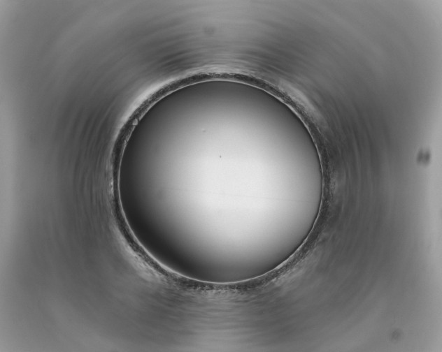 X0000091670934200709061040