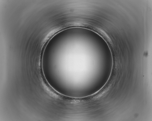 X0000091670938200709061040