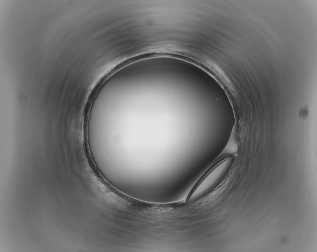 X0000091670939200709061040