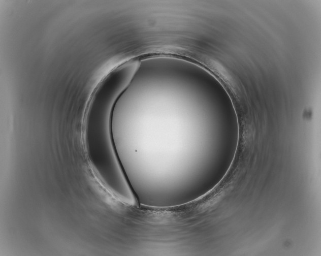 X0000091670940200709061040