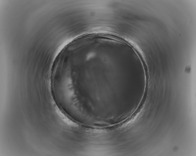 X0000091670941200709061040