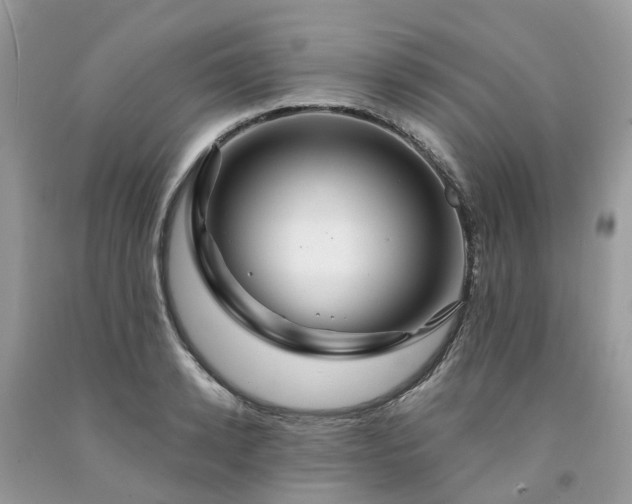X0000091670942200709061040
