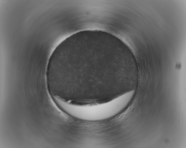 X0000091670943200709061040