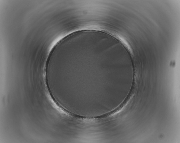 X0000091670944200709061040