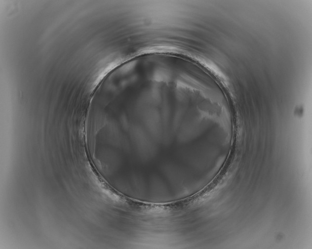 X0000091670945200709061040