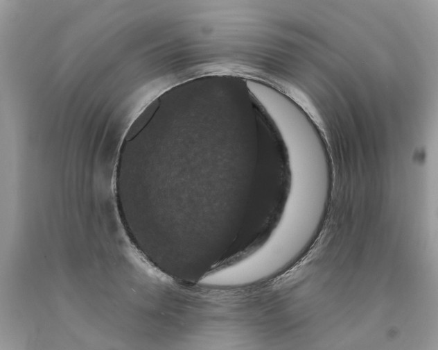 X0000091670946200709061040