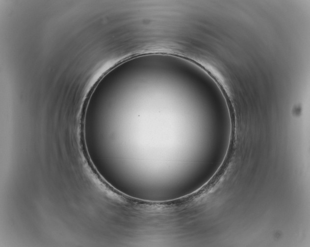 X0000091670949200709061040