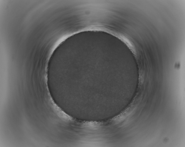 X0000091670950200709061040
