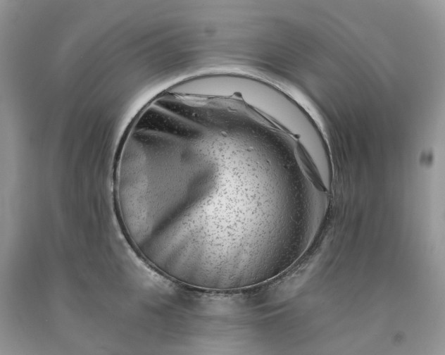 X0000091670951200709061040