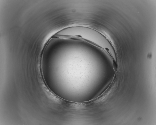 X0000091670952200709061040