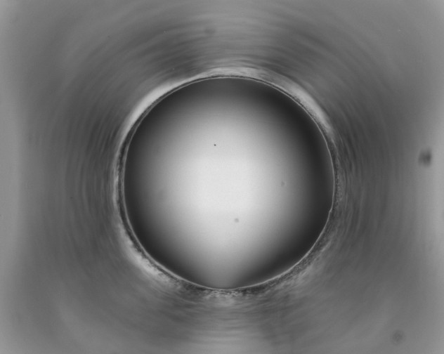 X0000091670955200709061040