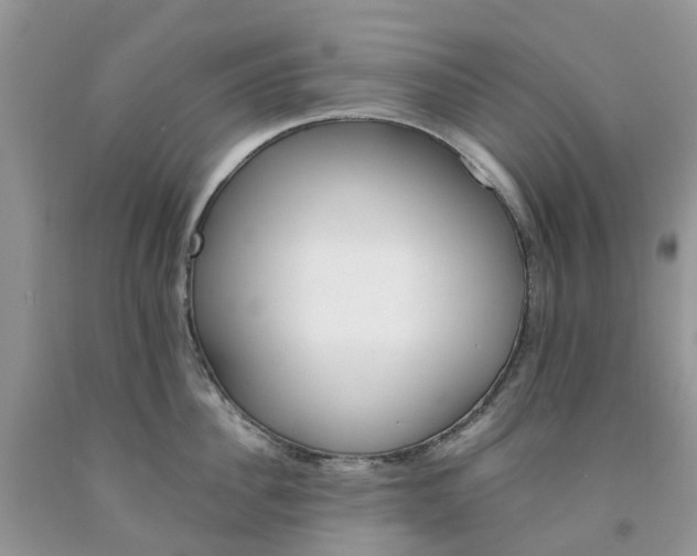 X0000091670956200709061040