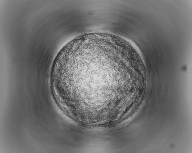 X0000091670957200709061040