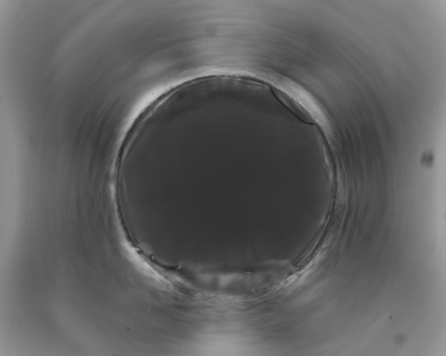 X0000091670958200709061040