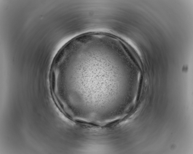 X0000091670959200709061040