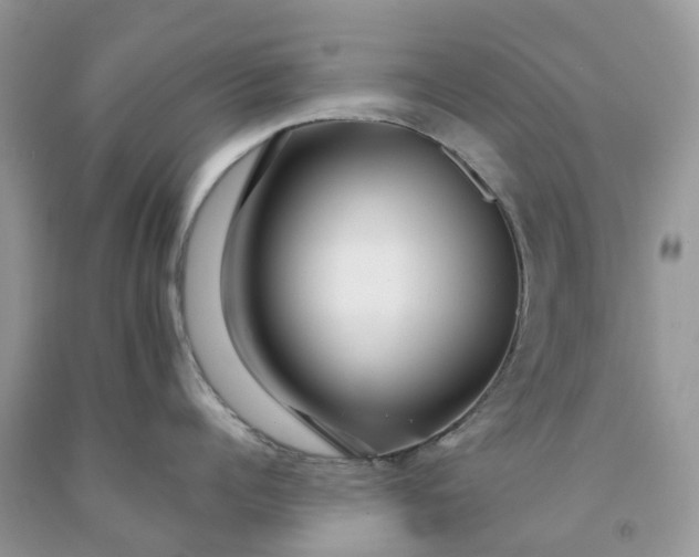X0000091670960200709061040