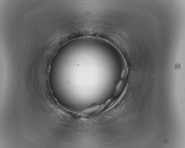 X0000091670961200709061039