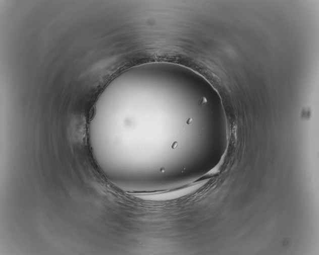 X0000091670963200709061039