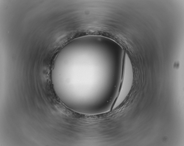 X0000091670964200709061039