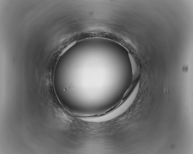 X0000091670965200709061039