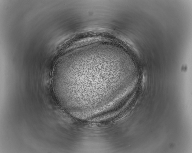 X0000091670966200709061039