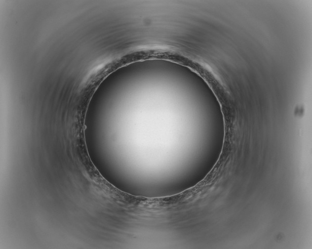 X0000091670967200709061039