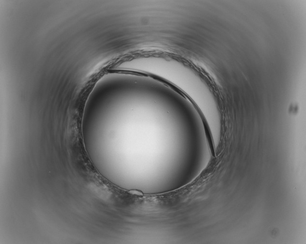 X0000091670968200709061039