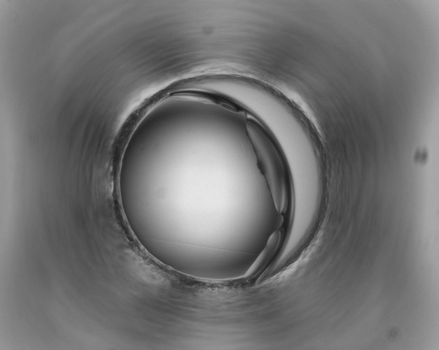 X0000091670973200709061039