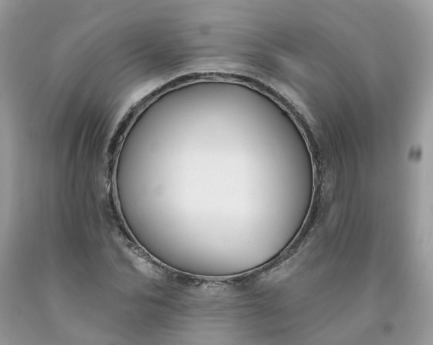 X0000091670974200709061039