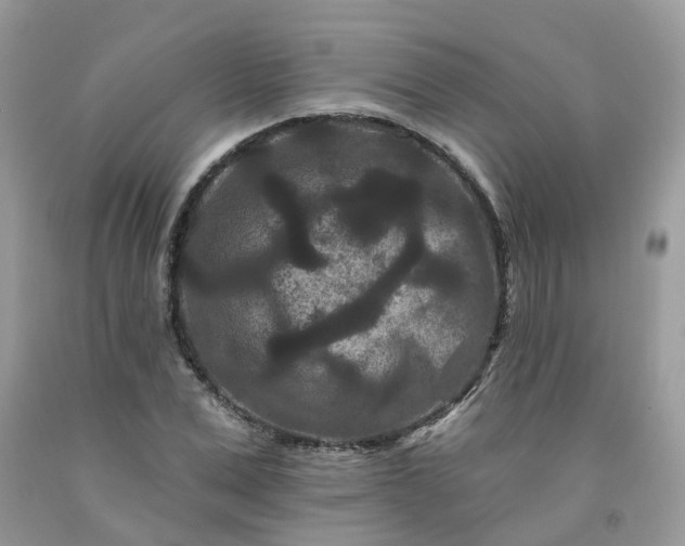 X0000091670975200709061039
