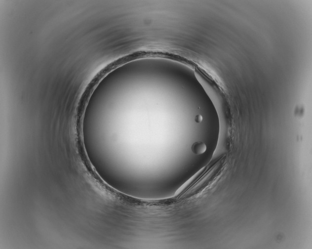 X0000091670976200709061039