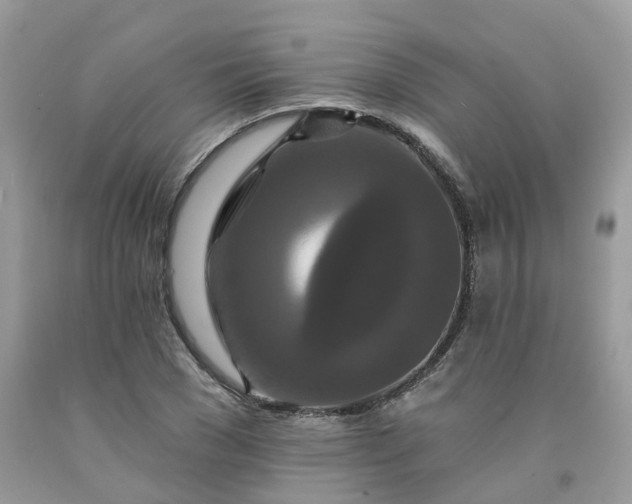 X0000091670977200709061039