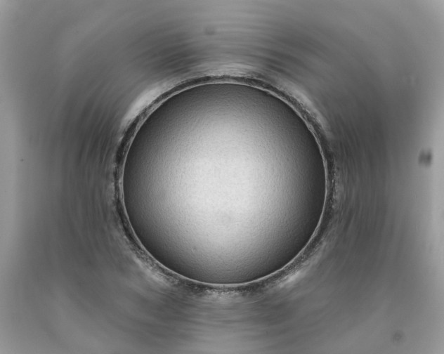 X0000091670978200709061039