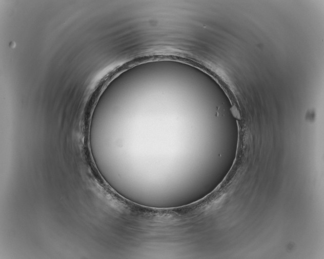 X0000091670979200709061039