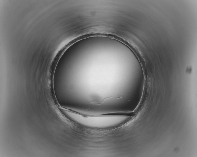 X0000091670981200709061039