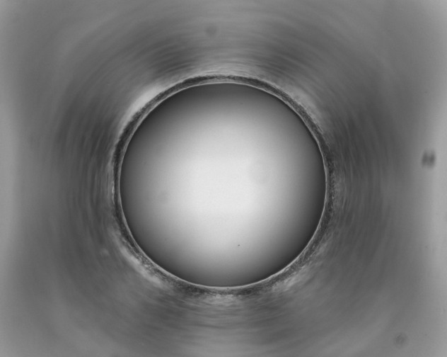 X0000091670982200709061039