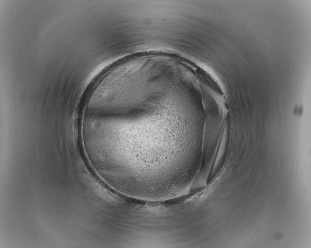 X0000091670983200709061039
