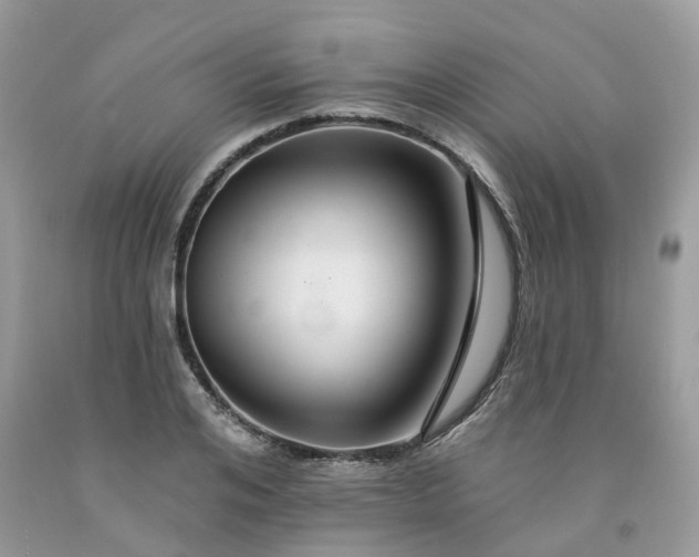 X0000091670984200709061039
