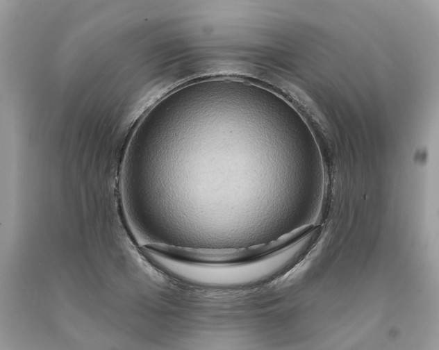 X0000091670985200709061039