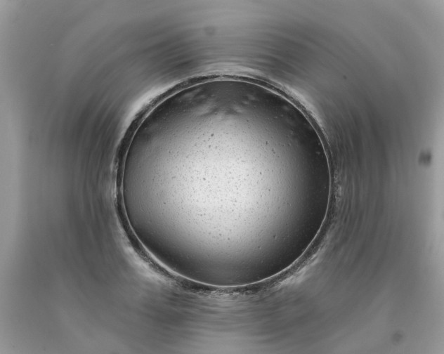 X0000091670987200709061039