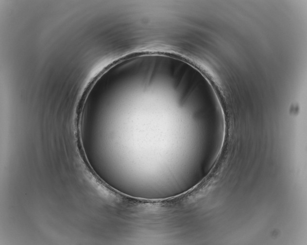 X0000091670990200709061039