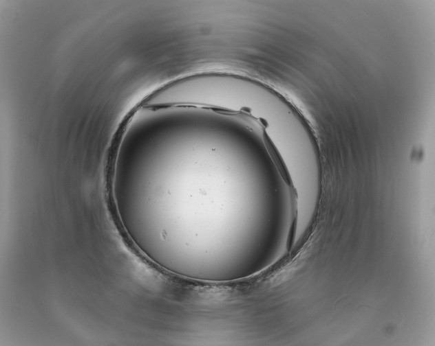 X0000091670991200709061039