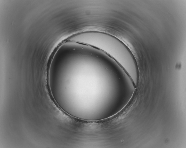 X0000091670992200709061039